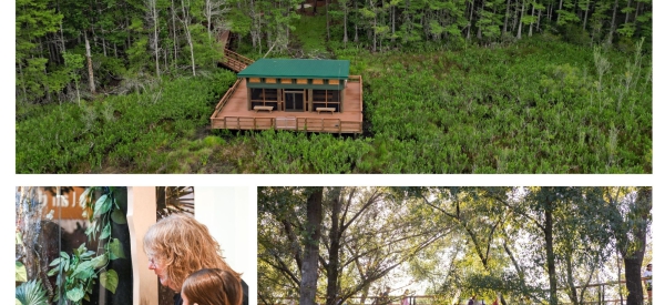 Lernen, Staunen, Erleben:  Florida begeistert Familien mit inspirierenden Edutainment-Erlebnissen